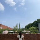 소담스럽고 예쁜 이미지