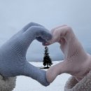 흰등 | 삿포로 비에이 버스 투어 | 흰그림자투어 겨울 코스 내돈내산 후기