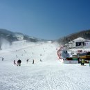 곤지암리조트 이미지