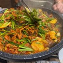 서가네오리 이미지