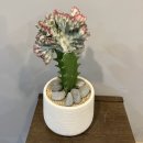 춘봉농장 이미지