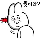 스마트디앤피