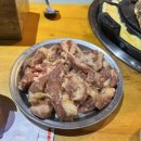 선운갈매기 이미지