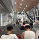 코타제주 | 코타키나발루 비행시간 제주항공 왕복 후기