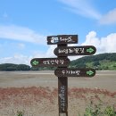 사단법인 섬갯벌연구소 정책브리핑