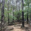 칠보산 등산로 이미지