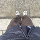 베스트프렌 독 이미지