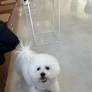 레인바우 이미지