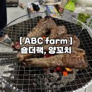 에이비씨팜(ABC FARM) | 캠핑야식추천, 에이비씨팜 숄더랙 양꼬치세트 솔직 후기