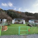 딩동댕애견스파풀빌라 | 가평 애견동반 숙소🐶 딩동댕 애견 스파 풀빌라 카라반러브3 노천탕 내돈내산 후기