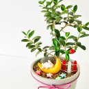 왕방초등학교 이미지