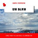 주문진터미널 | 강릉 SL호텔 주문진 수산시장 근처 가심비 깔끔한 숙소후기