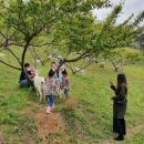 해원목장 이미지