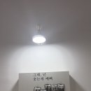 왜이런미닛