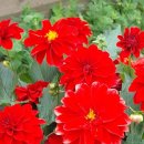 능허대공원 이미지