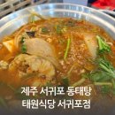 제주태원 이미지