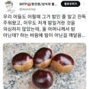 밤인 줄 알고 먹으면 큰일나는 밤같이 생긴 열매 이미지