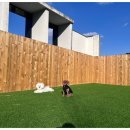 송이유치원 이미지