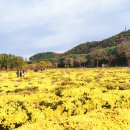 태화강 국가정원 코스 이미지