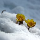 즐겨찾기공인중개사사무소 이미지