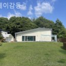 스테이 감동 이미지