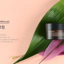 인셀덤서인 이미지