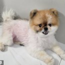서연화미용실