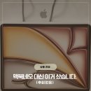 나도 모델이 될 수 있다? 시니어 모델 입문이 궁금하다면 | 아이패드에어13 M4 3개월 사용 후기 맥북 네오 대신 선택한 이유