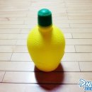토마토잡 Daum카페