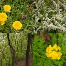 칠현산 숲거리 이미지