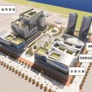 용메디칼 이미지