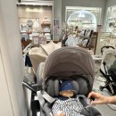 (주)신세계라이브쇼핑 | [임신] 신세계 강남 카시트 졸업 / 브라이텍스 듀얼픽스 프로 럭스 vs 제로나 T