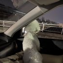 대동세차장 이미지