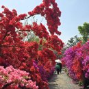 사진교실 이미지