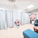 미즈파크산부인과의원 네이버블로그
