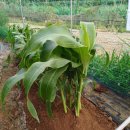 태농농장 이미지