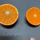 순애농장 이미지