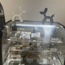 카니쉬펫 이미지