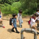 시지아이숲유치원 이미지