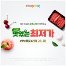 와우파트너스