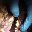 신현동물병원 이미지