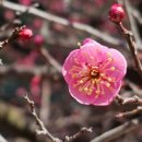 The 광대 <홀로> 이미지