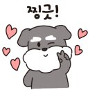 퍼피스프링 강서점 이미지