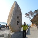전남 완도 보길도 Daum카페