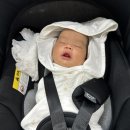 전치 앞(1) | [또담이 출산일기] 완전전치태반 전신마취 출산 후...진주미래여성조리원 이용 후기 / 지옥의 젖몸살