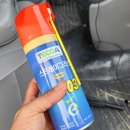 영광 경희대 석사 태권도 이미지