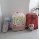 아름어린이집 | 유치원 어린이집 필수 준비물｜티니핑 물통·수저·도시락통 이마트 세일 득템 후기 (홈플러스와 가격...