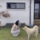 셀프펜션 이미지