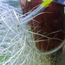 어항 세탁소 이미지