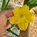 안고랑농장 이미지